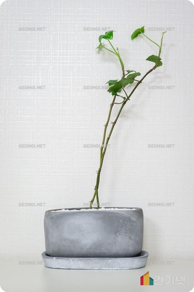 리안비채 아파트 리모델링, 공간 활용과 디자인의 완벽한 조화