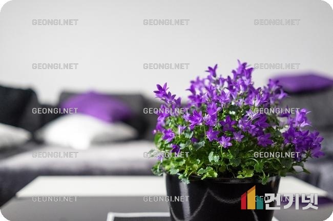 화성 디에이치 아파트 인테리어: 공간 효율 극대화와 스타일의 조화