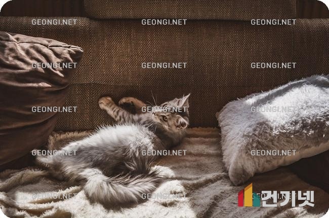 망포 두산위브 아파트 리모델링, 공간 혁신의 모든 것