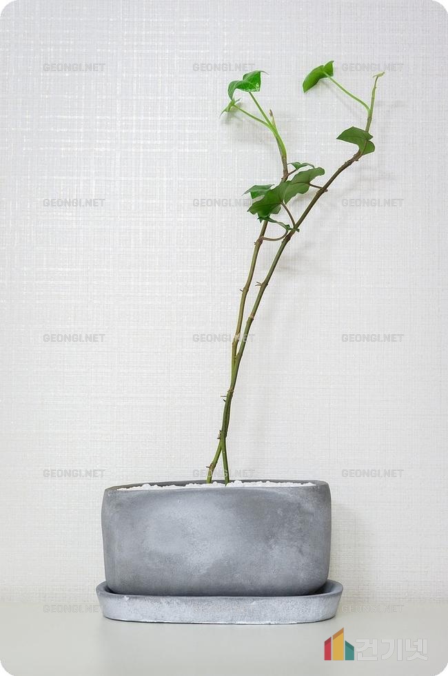 신갈 세띠앙 아파트 인테리어, 공간 활용과 스타일을 동시에!