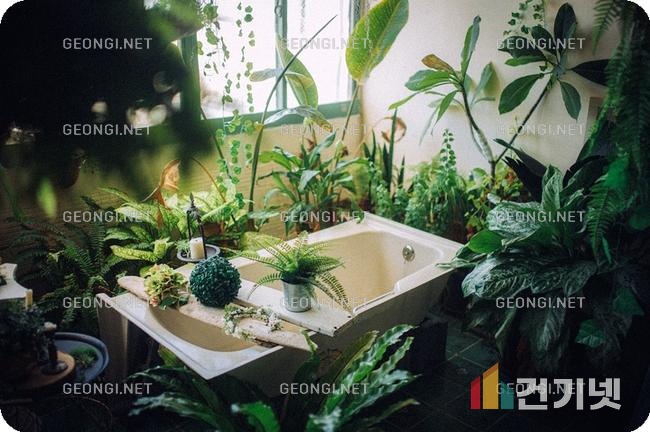 양주 트리쉐이드 아파트 인테리어, 스타일과 기능을 동시에 만족시키는 방법