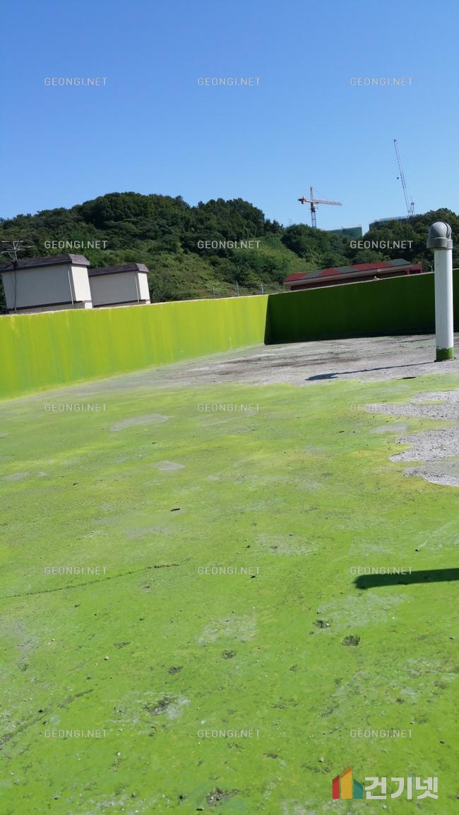 정선군 우레탄폼 단열공사로 결로 문제 해결하기 - 건기넷 전문가 추천